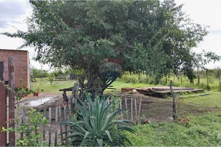 EN VENTA TERRENO EN LA CIUDAD DE FALCON 