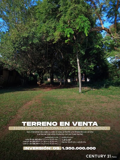 Vendo Terreno En San Lorenzo