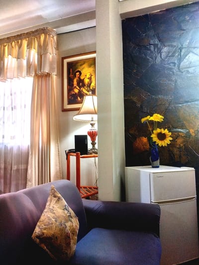 EN VENTA HERMOSO Y ESPACIOSO DEPARTAMENTO CON OPORTUNIDAD DE NEGOCIO PROPIO!