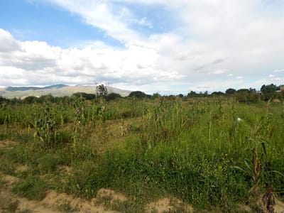 EN VENTA, LOTE AMPLIO