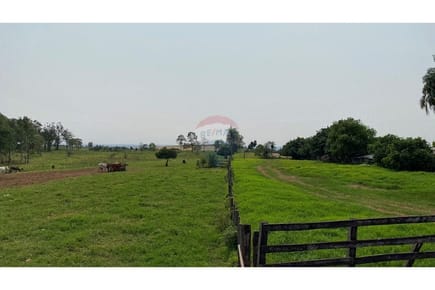 Estancia de 10,000 hectáreas en Caaguazu con pista de aviación 