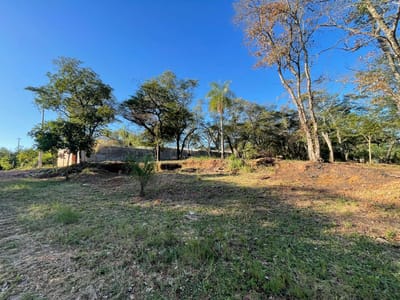 SAN BERNARDINO, ZONA CENTRO, EN VENTA 3 TERRENOS JUNTOS 