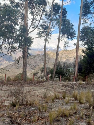 Terreno en Venta, Achocalla, en Urbanización Lomas del Sol