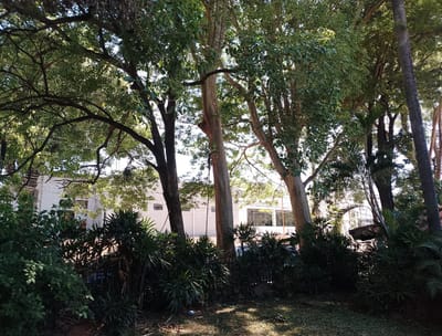 ALQUILO CASA PARA USO COMERCIAL EN VILLA MORRA