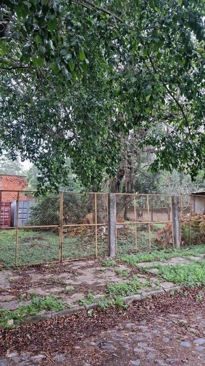 VENDO TERRENO EN BARRIO SAN JORGE 