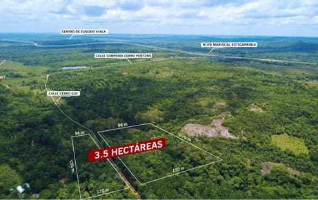 VENDO TERRENO ARBOLADO EN EUSEBIO AYALA
