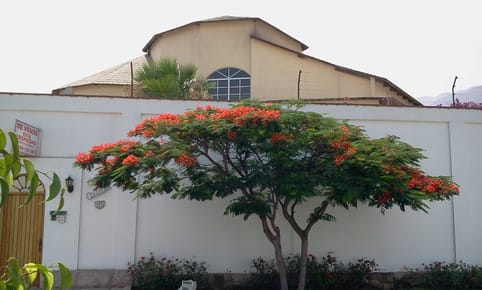 Venta De Linda Vivienda En Sol De La Molina