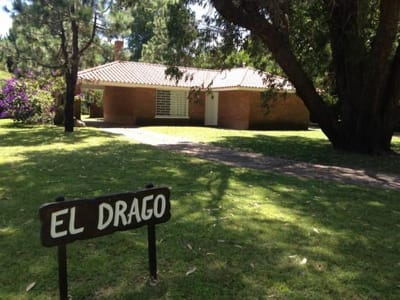 El Drago