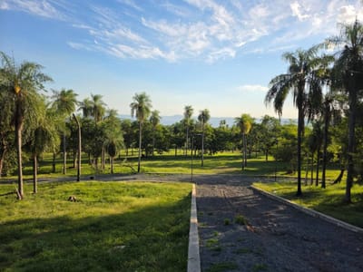 VENDO TERRENO EN SAN BERNARDINO