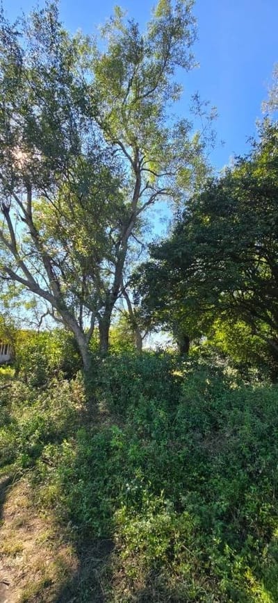 Vendo Terreno Frente a Riacho Payagua - Villa Hayes