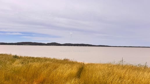 5 has con costa de laguna del sauce