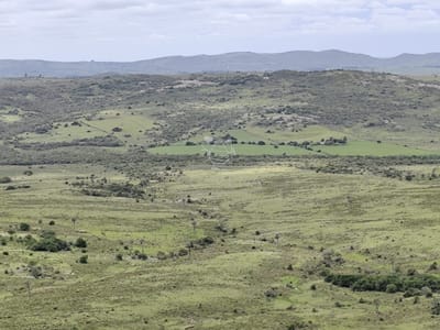 Campo de 200 hás en el departamento de Maldonado