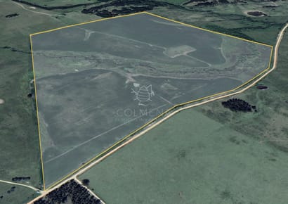 Campo Cerca de la Ruta 104 y ruta 9