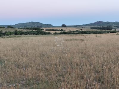 Campo de 30 has en Paso de Dutra