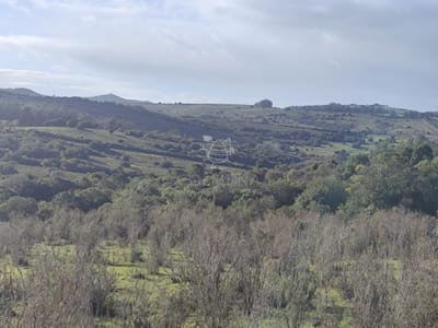 Campo ondulado con arroyo, cañada, manantiales y Montes Nativo en Paraje - Pueblo Eden