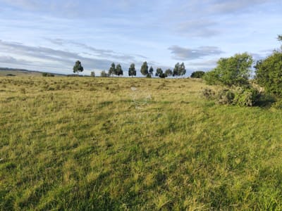 Campo de 22 has 3402 en Garzón