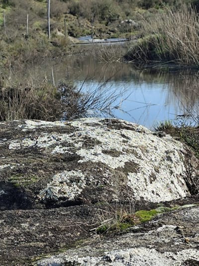 Campo de 18 hec Paraje Los Caracoles