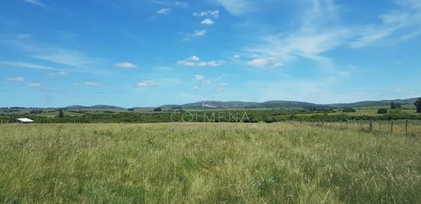 Chacra en las cañas con casa y costa de arroyo.