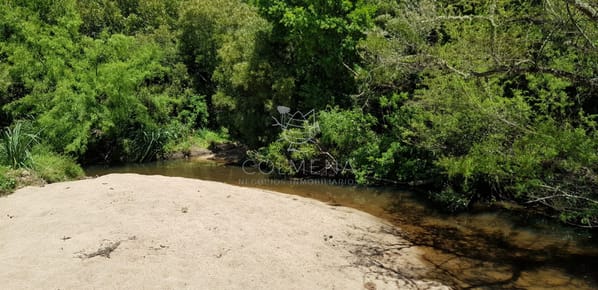 Campo de 7 has y media con Casa y costa de Arroyo - Consulte !!!!!!