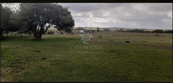 Campo 5 has con linda casa a 25 km de Punta del Este Consulte !!!!!!!