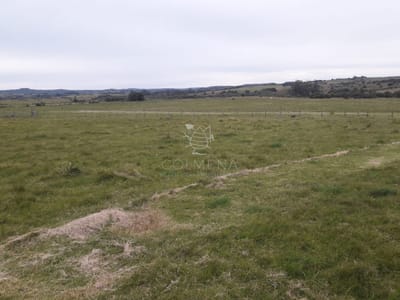 Campo a 5 km de pueblo Garzon - Coneat 106