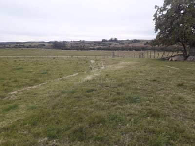 Campo en Garzón con Casa - Consulte!!!!!