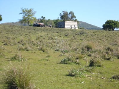 Campo 98 has con 2891 m2 en Carape cuenta con costa de arroyo.