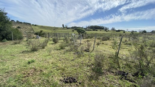 Chacras de 5 has en Paraje Las Cañas !!! 