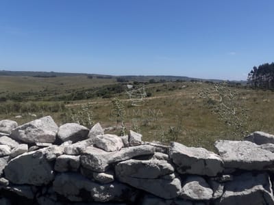 Campo en Carape - Departamento de Maldonado