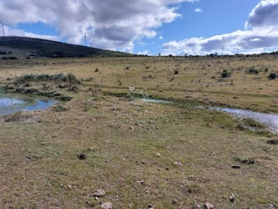 Campo 80 has a 35 km de Punta del Este