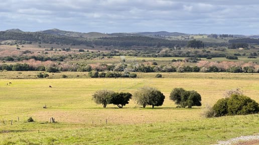 Chacra 5 has  en Campanero con buena vistas y camineria.