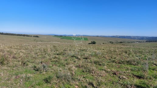 Campo 14 has a pocos km de Pueblo Eden