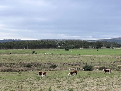 Campo de 22 has 6862 m2 cerca de Punta del Este