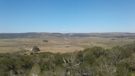 Campo en Lavalleja - 79 has con 8432 m2 - Turistico-ganadero