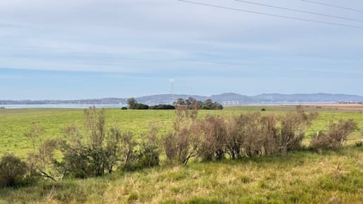 Chacras en Laguna del Sauce
