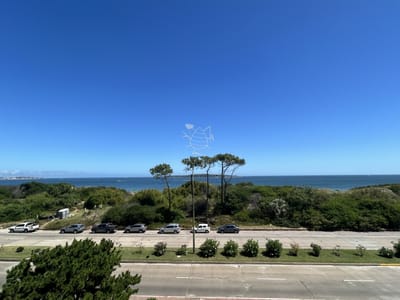 Alquiler temporario de Apartamento de 4 dormitorios en Playa Mansa, Punta del Este