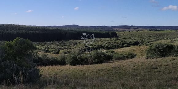 Campo cerca de los viñedos, bodegas y pueblo Garzon.