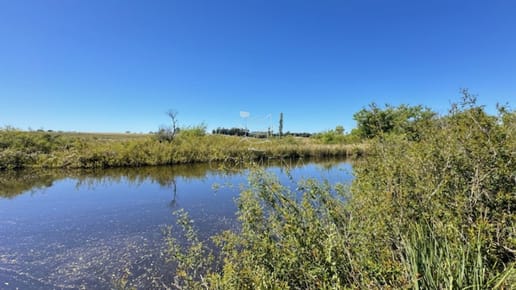 Se venden 2 chacras juntas o separadas en Paso de la Cantera de San Carlos