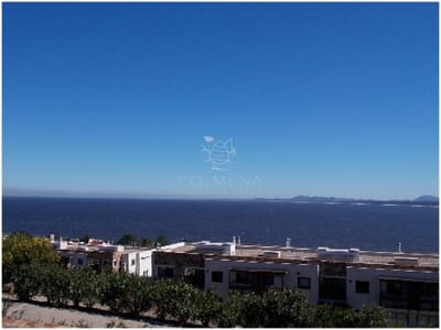 Punta Ballena
