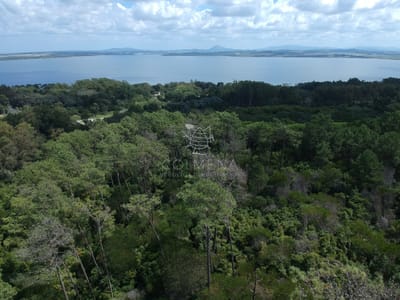 Chacra en Las Cumbres de la Ballena