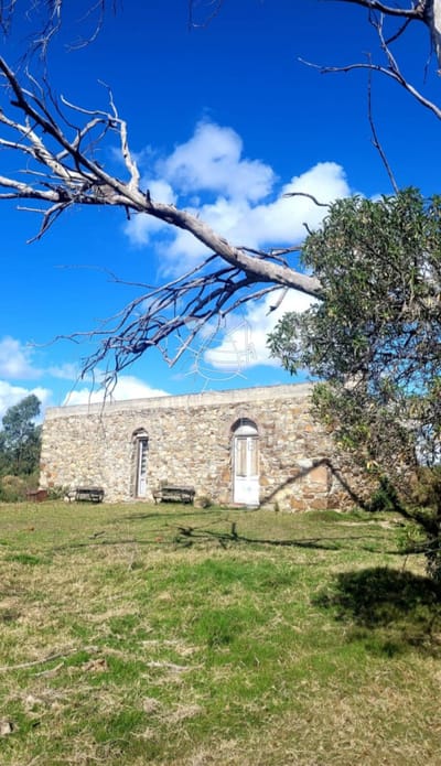 Campo 9 has con casa y plantación de olivos