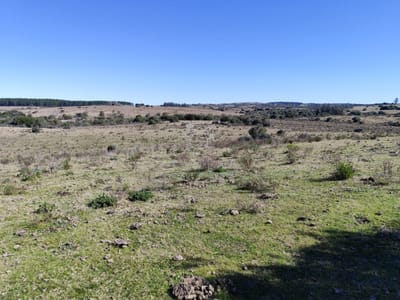 Campo en Garzon cerca de las Bodegas
