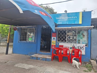 LOCAL Y GARAGE CON VIVIENDA SOBRE AVENIDA J.BELLONI A RECICLAR O DEMOLER.