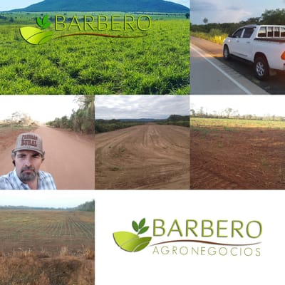 BARBERO AGRONEGOCIOS VENDE 2200 HA TUNAS