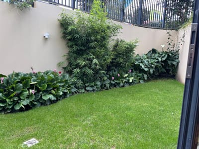 Departamento Moderno 1 Dormitorio Calacoto Calle 12