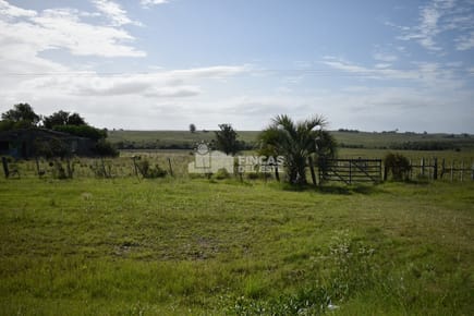 Campo Ruta 9  SAN CARLOS