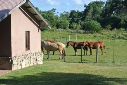 Chacra en venta | Punta del Diablo, Rocha