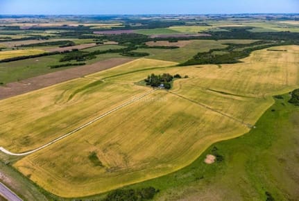 Establecimiento Agrícola Ganadero I Colonia I Ha: 224. IC: 157.