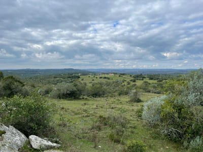 Chacra en Maldonado
