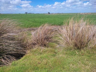 Chacras de 20 ha en Las Garzas